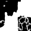 c4770_WP_A_1109_1m_l.png