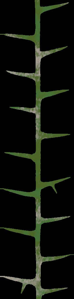 WP_A_0752_thorn_a.jpg