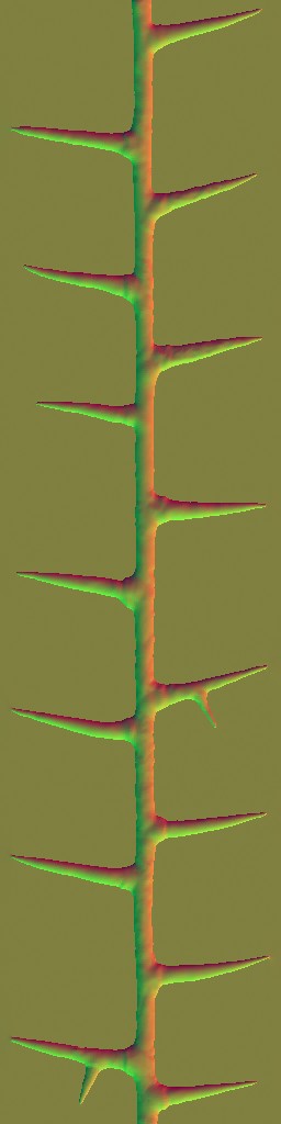 WP_A_2001_thorn_n.jpg
