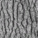 WP_A_2003_bark_a_l.jpg