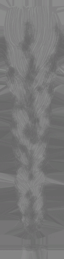 BD_M_5345_Braid_a_l.png