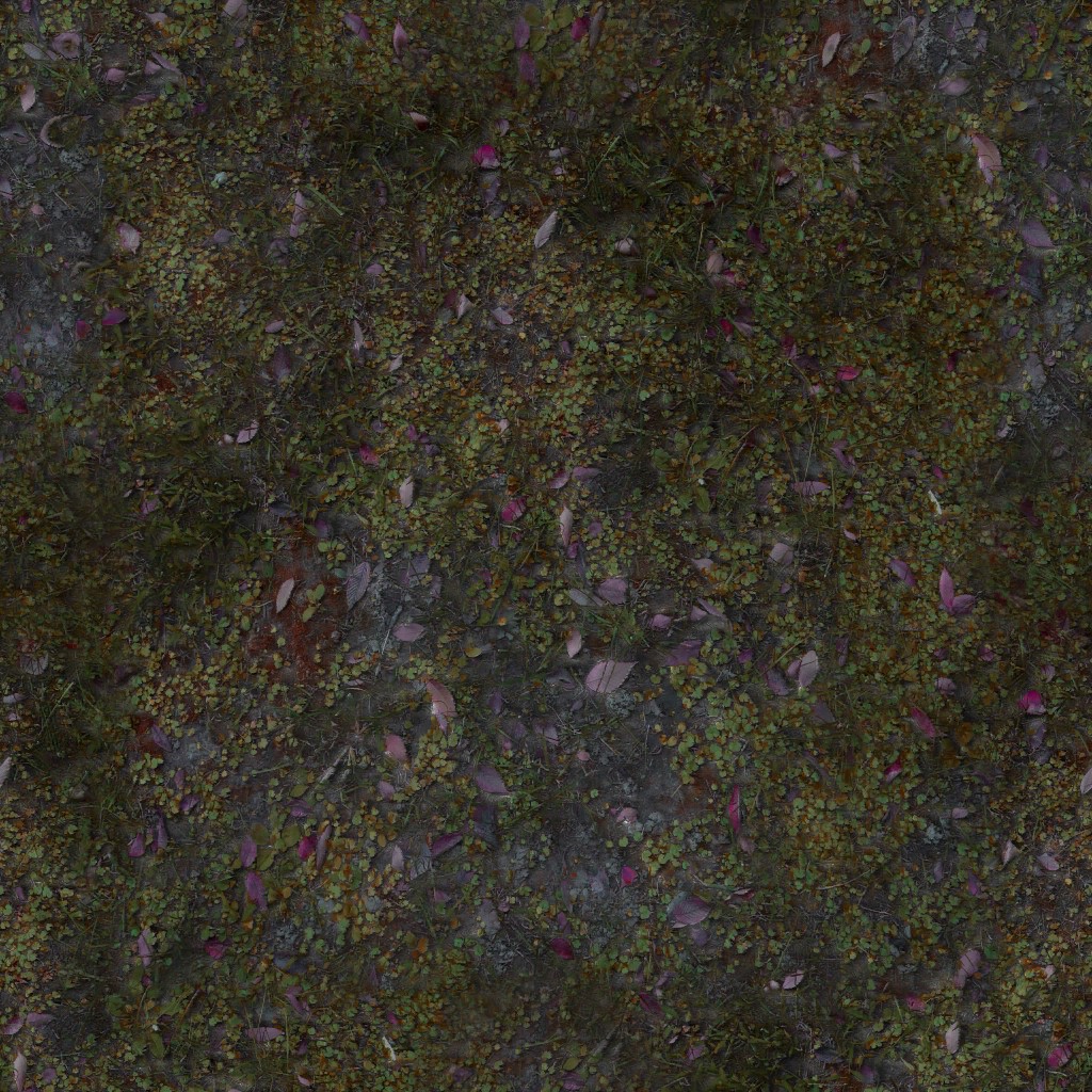 AET000_001_a.jpg