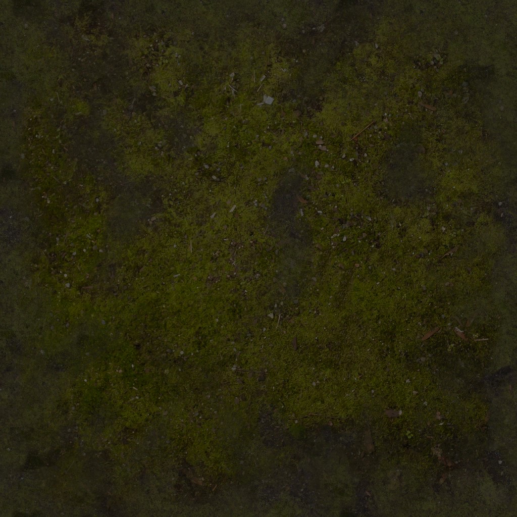 AET000_005_a.jpg