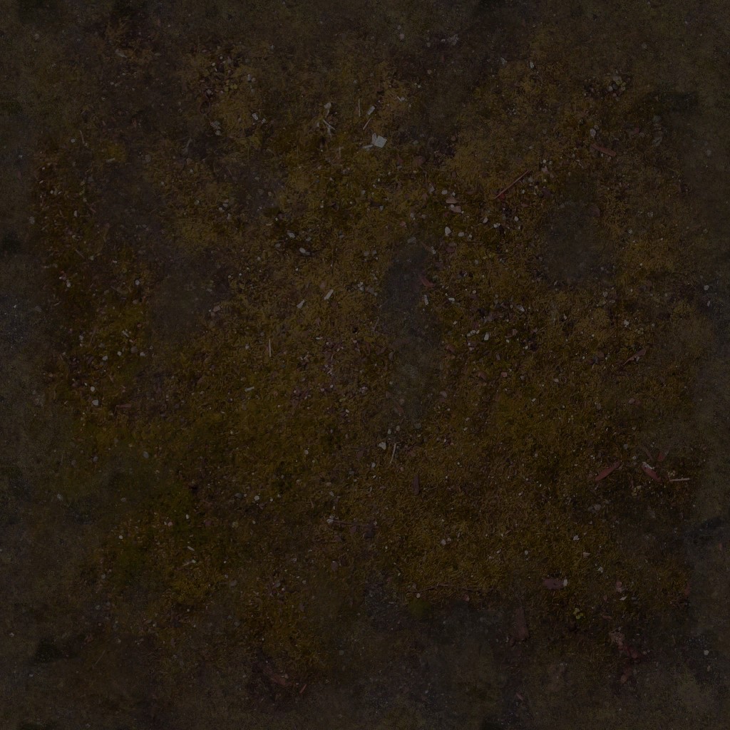 AET000_010_a.jpg