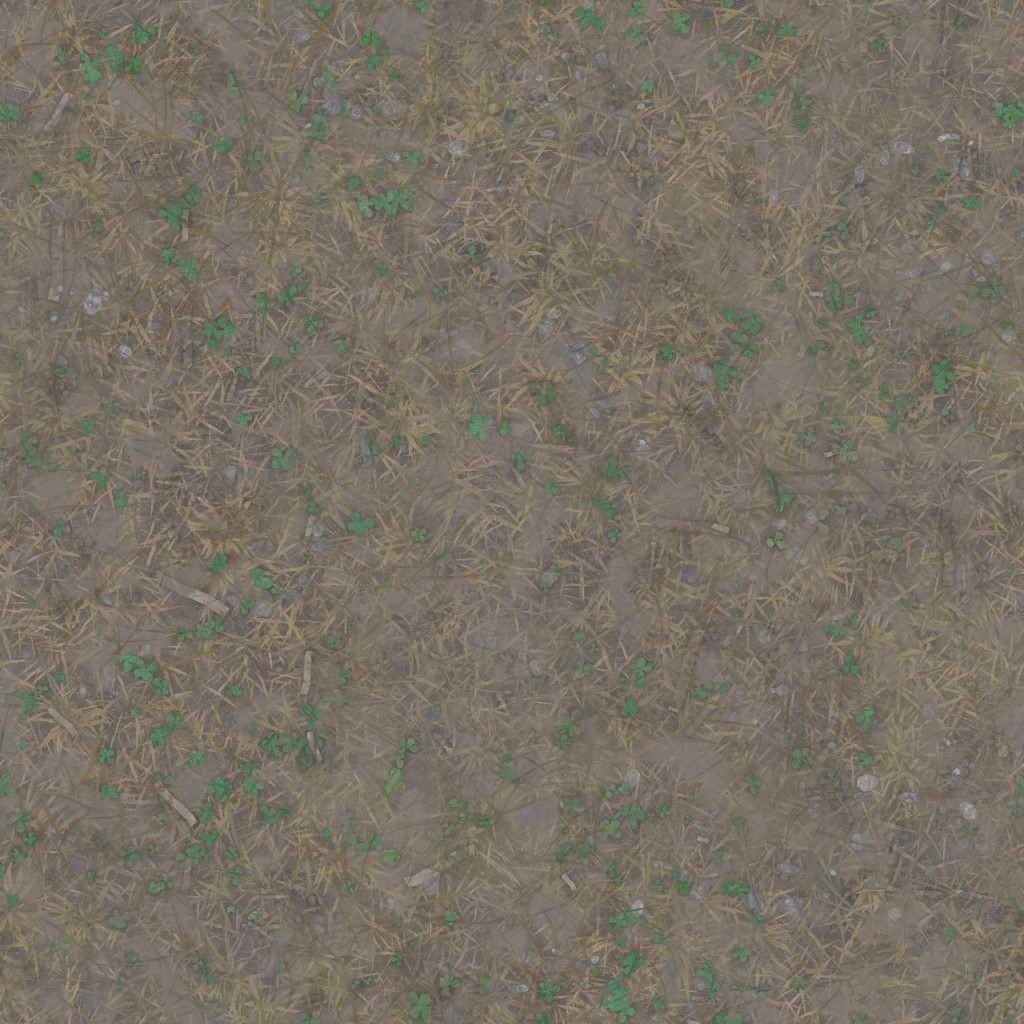 AET000_012_a.jpg