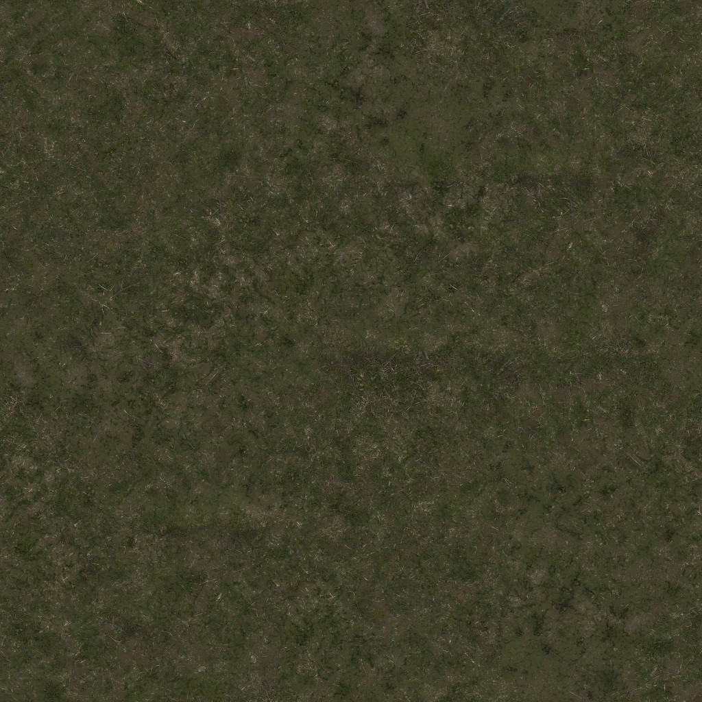 AET000_050_a.jpg