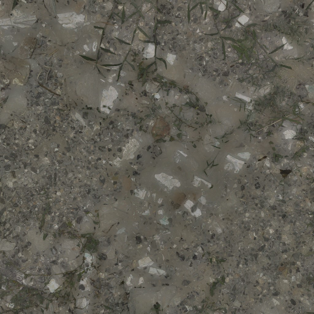 AET000_055_a.jpg