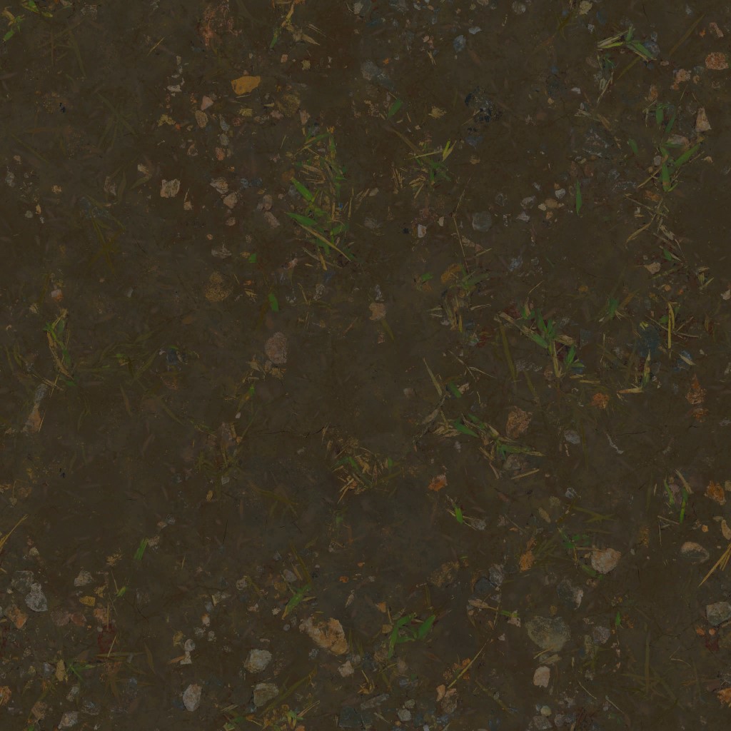 AET000_078_a.jpg