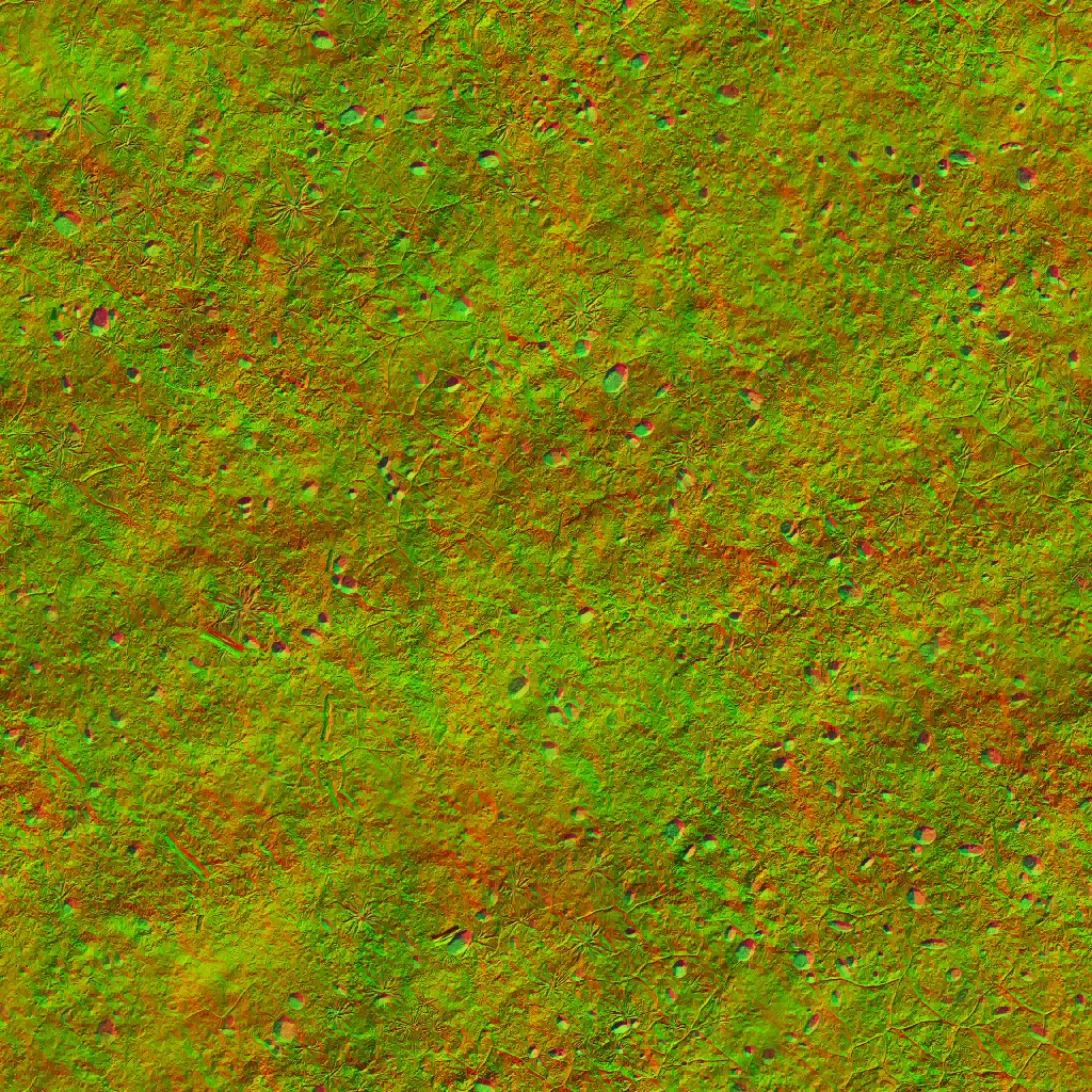 AET000_086_n.jpg