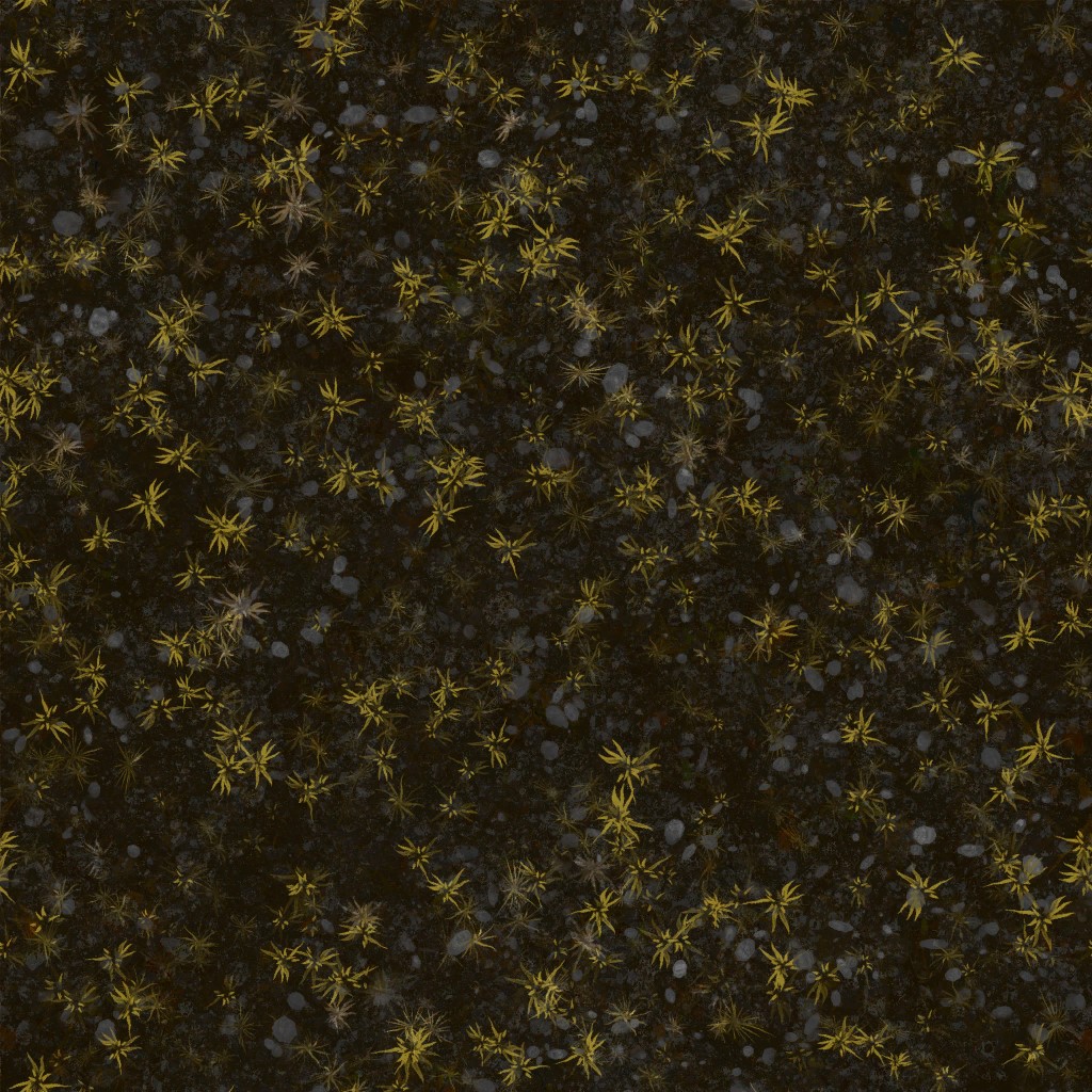 AET000_087_a.jpg