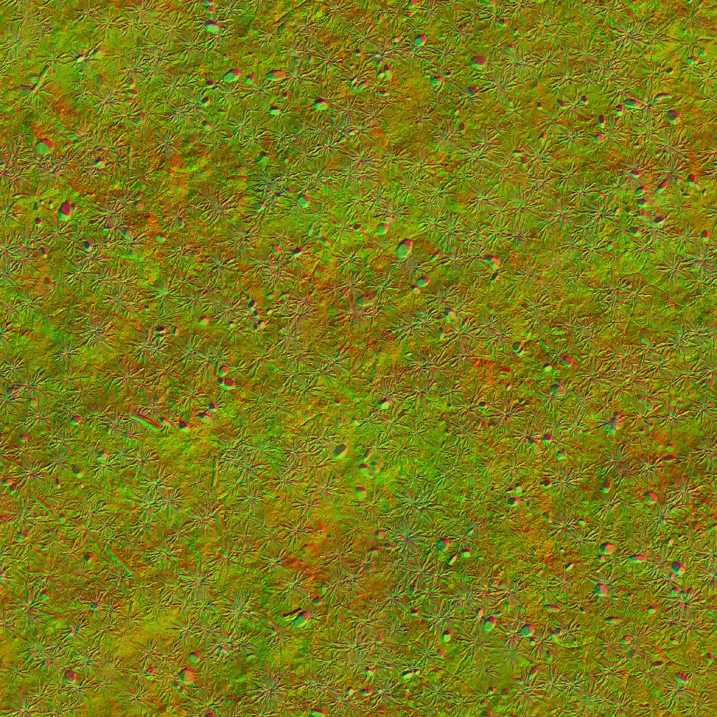 AET000_087_n.jpg