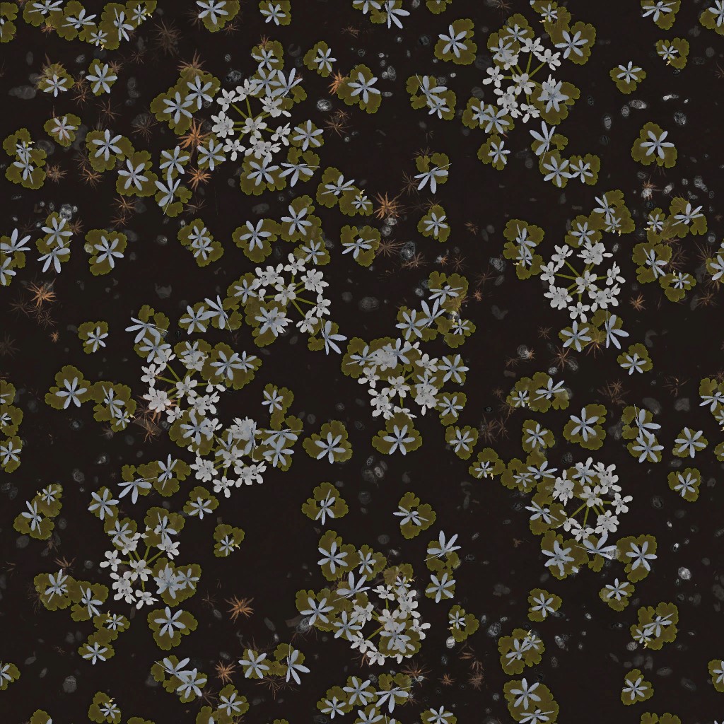AET000_129_a.jpg