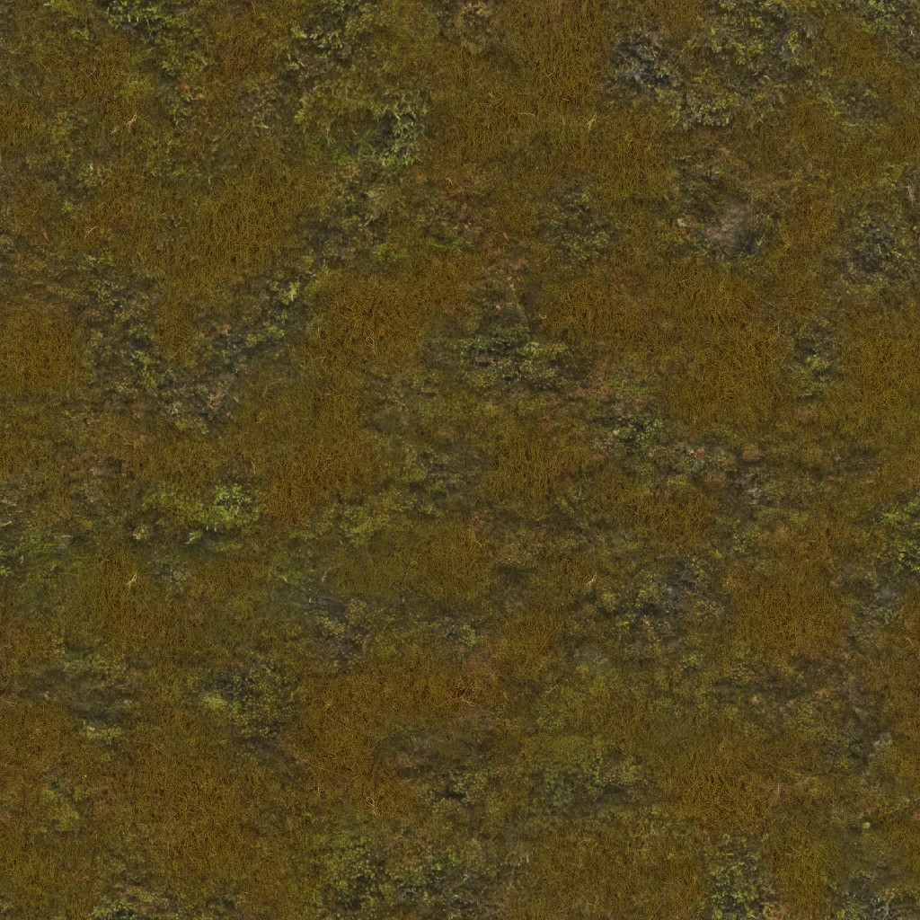 AET000_531_a.jpg