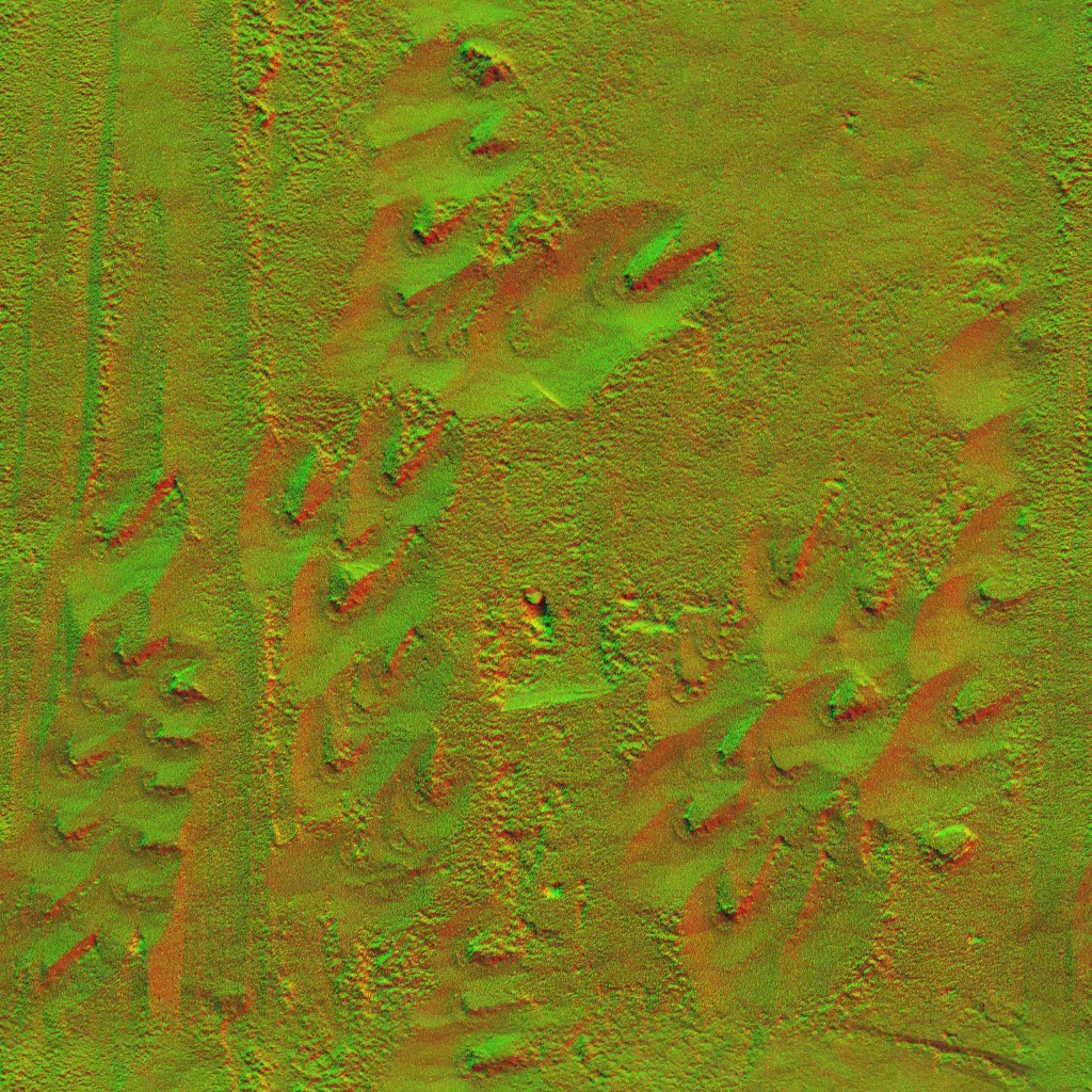 AET000_533_n.jpg