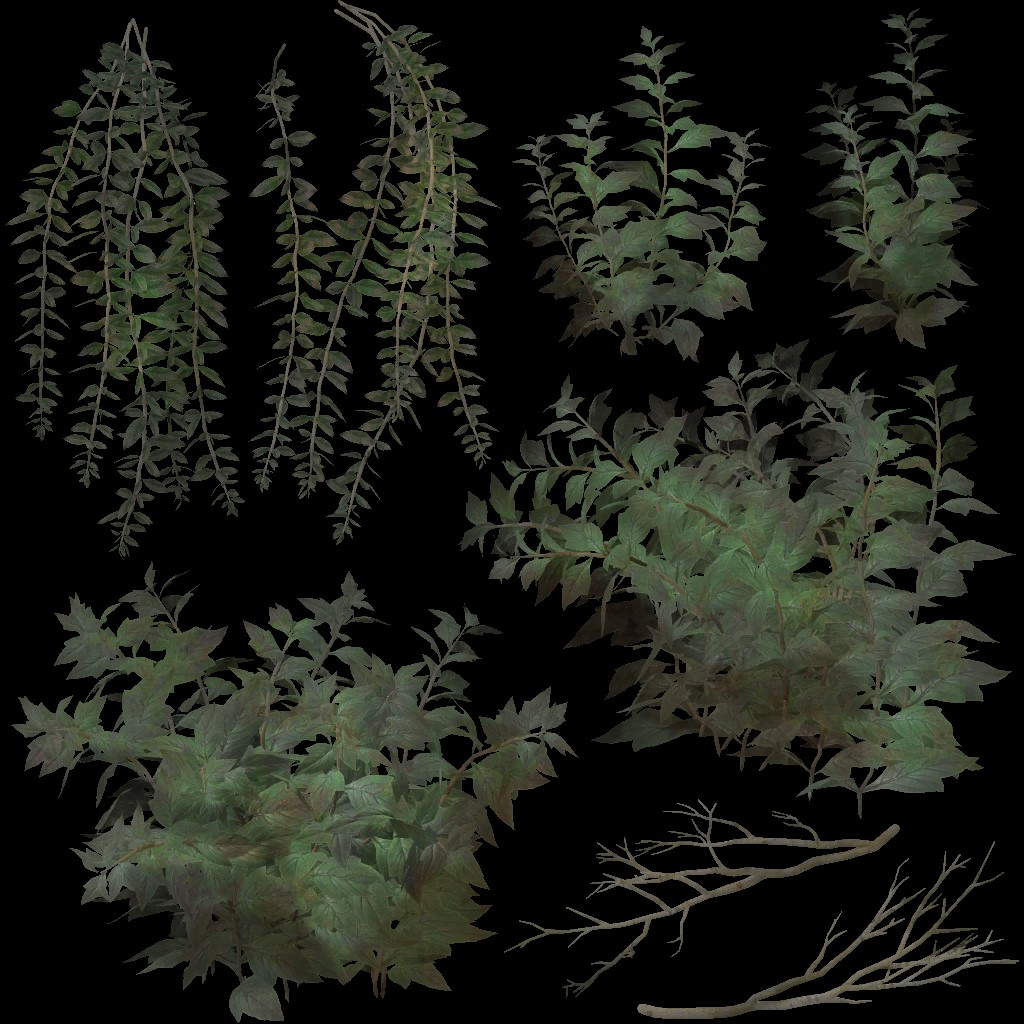 AET002_007_a.jpg