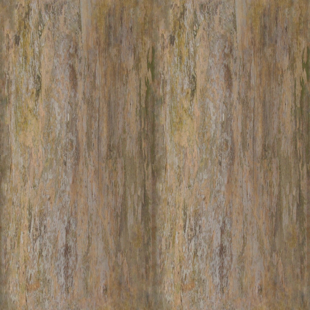 AET002_079_a.jpg