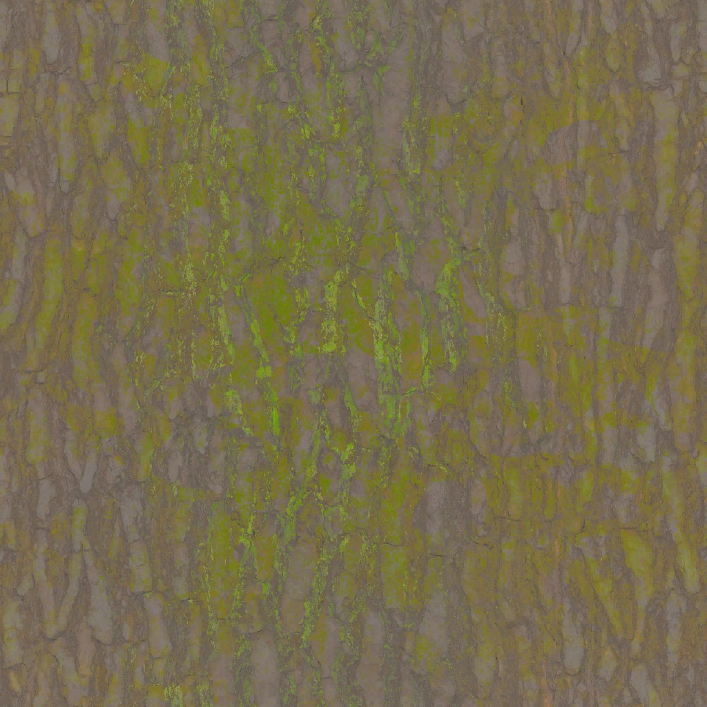 AET002_094_a.jpg