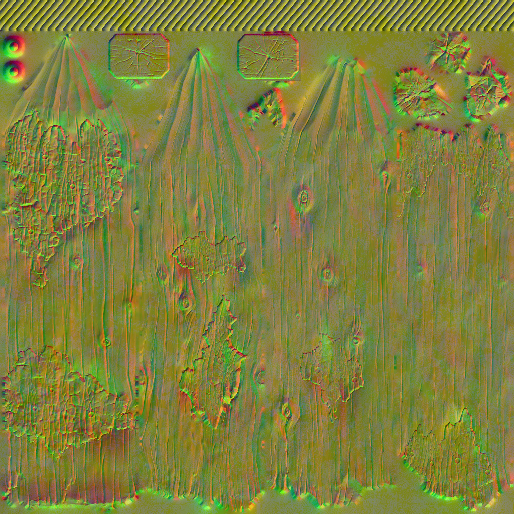 AET002_528_n.jpg