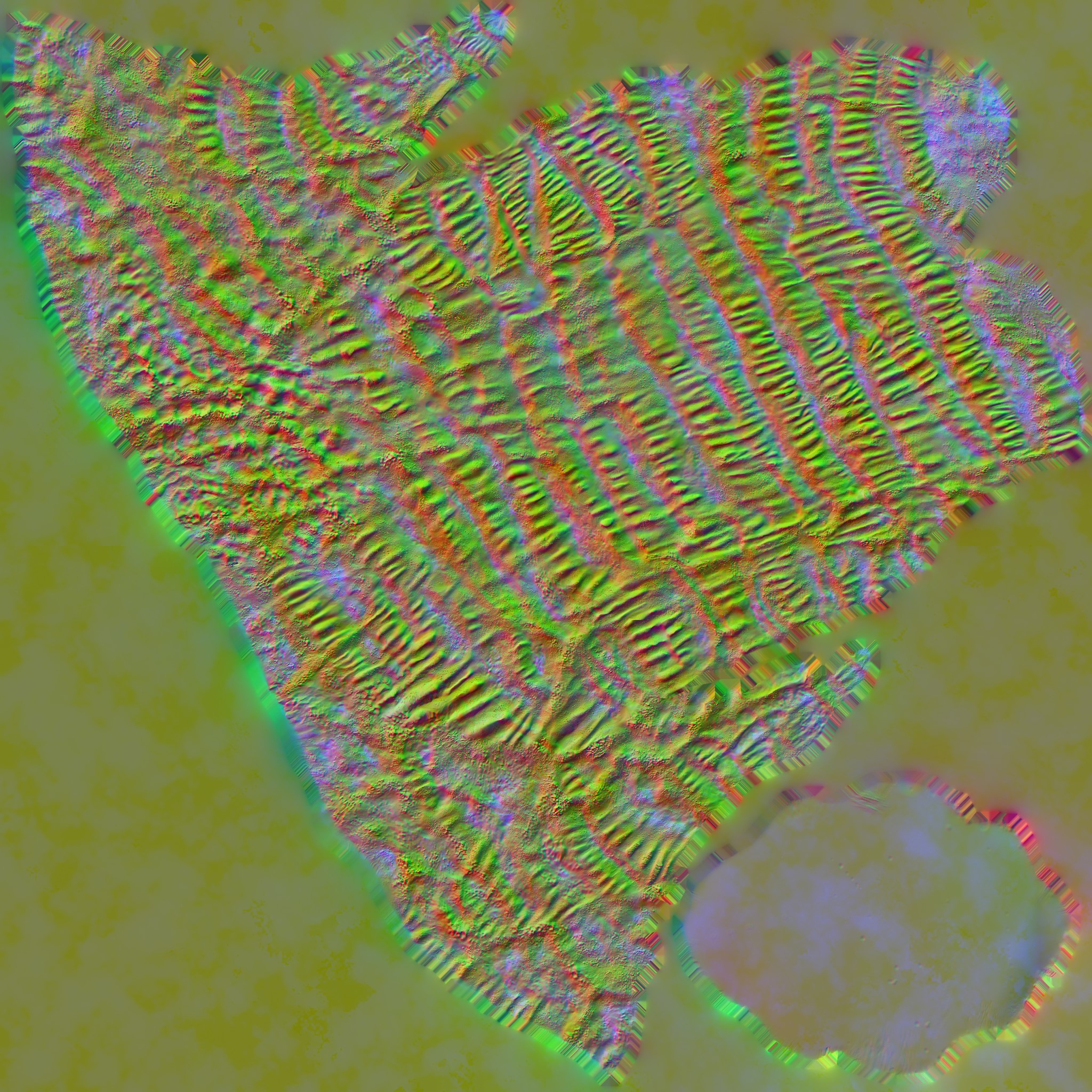 AET002_532_n.jpg