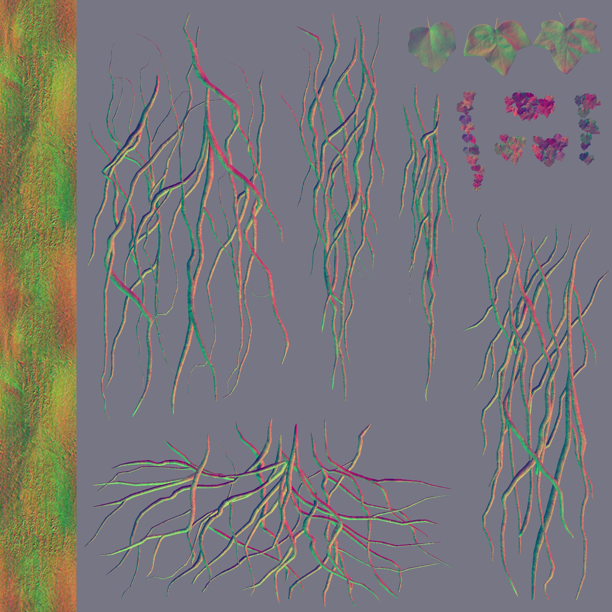 AET002_533_n.jpg