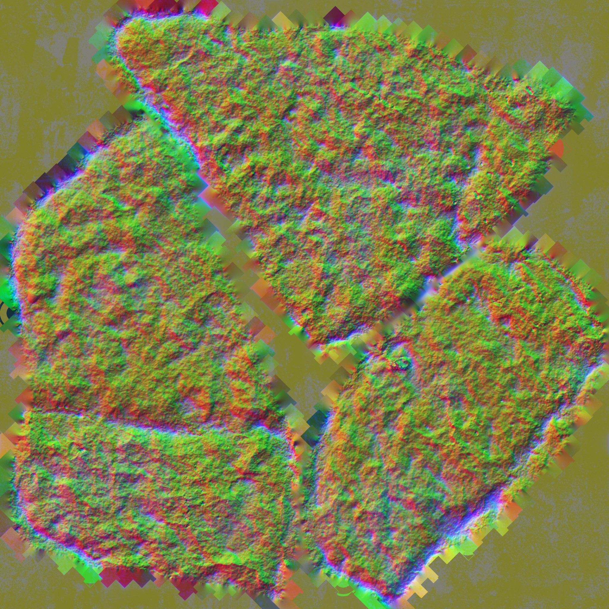 AET002_536_n.jpg