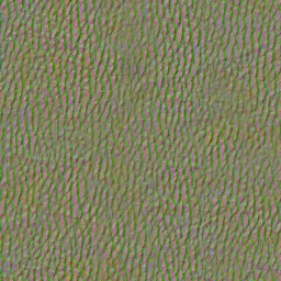AET002_571_n.jpg
