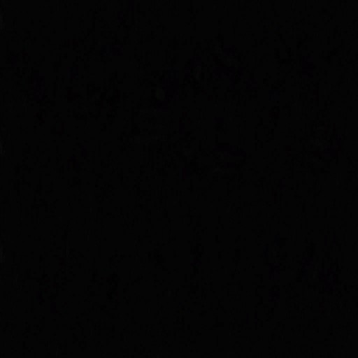 AET003_029_r.jpg
