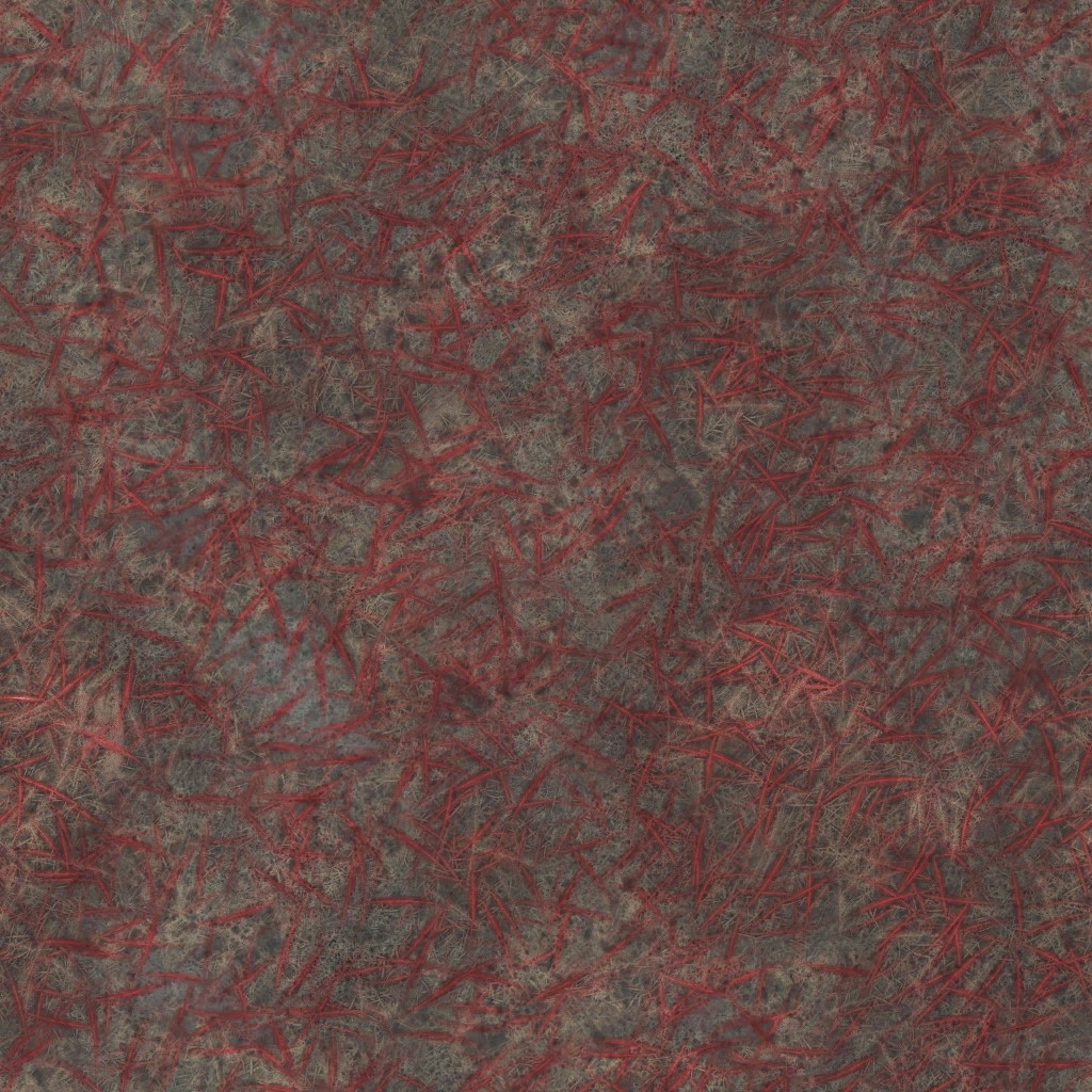 AET003_173_a.jpg