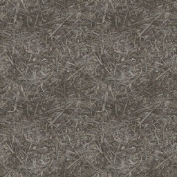 AET003_223_a.jpg