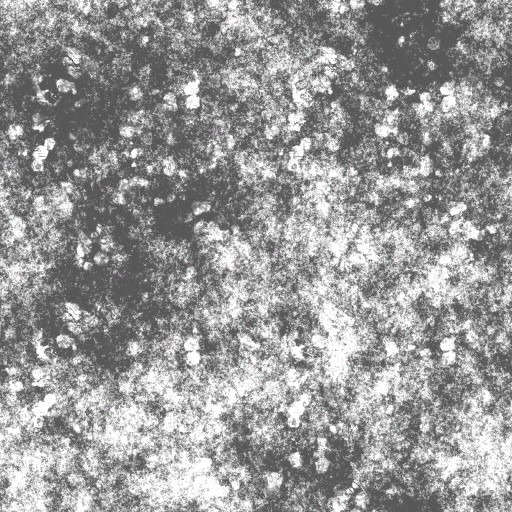 AET003_278_a.jpg