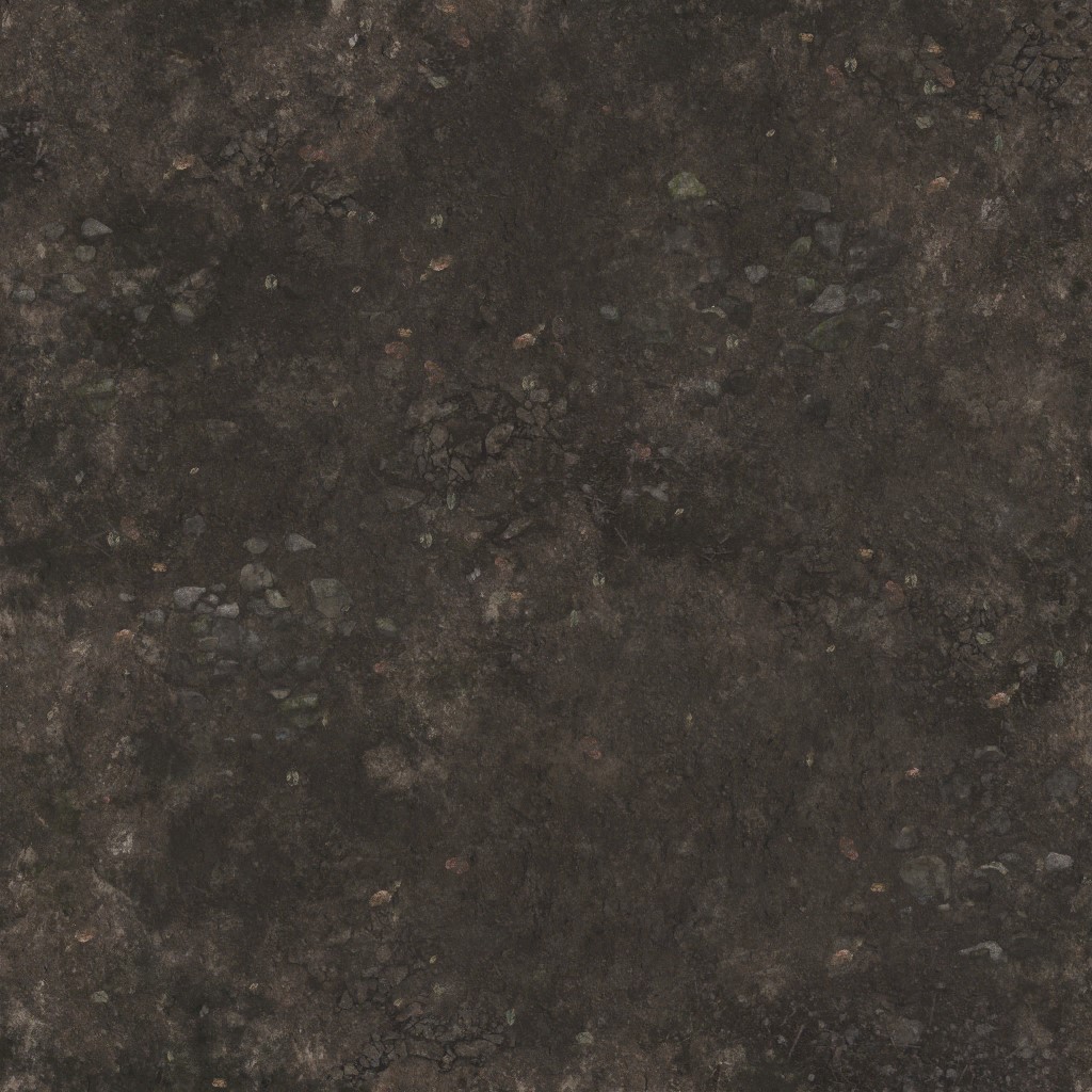 AET003_403_a.jpg