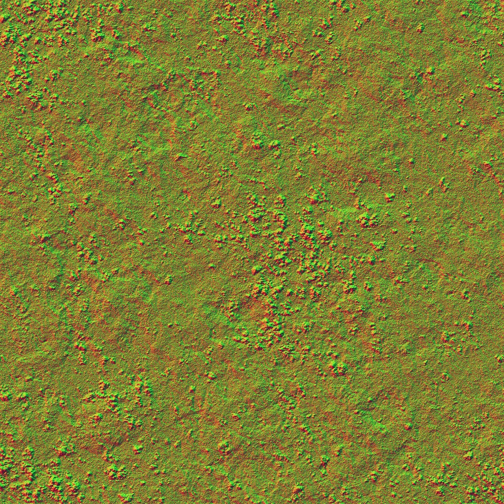 AET003_685_n.jpg