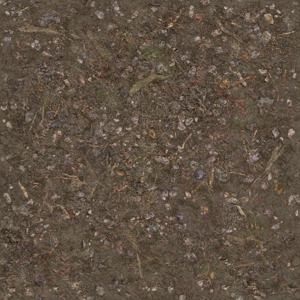 AET003_688_a.jpg