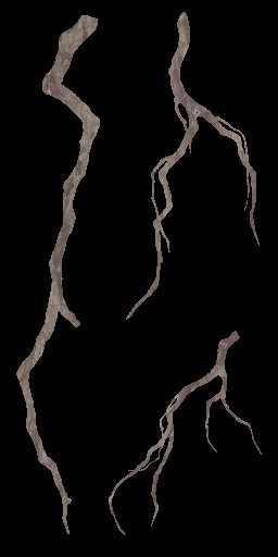 AET003_753_a.jpg