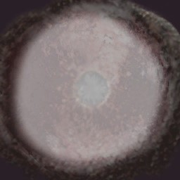 AET003_761_a.jpg