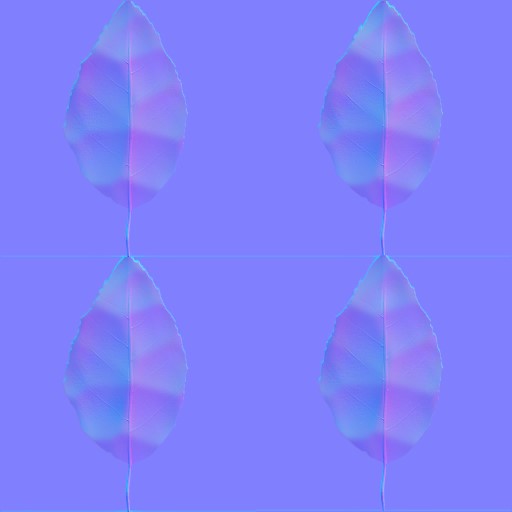 AET003_776_n.jpg