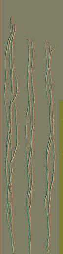 AET003_914_n.jpg