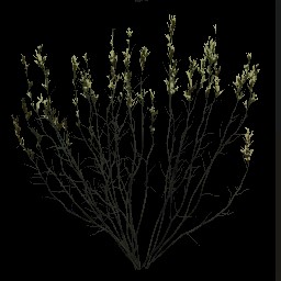 AET005_008_a.jpg