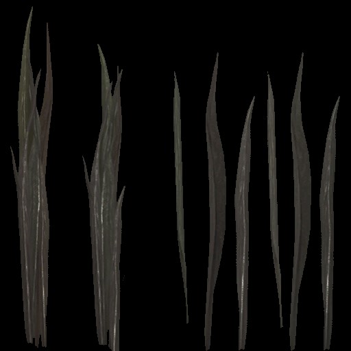 AET005_009_a.jpg