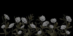 AET005_012_a.jpg