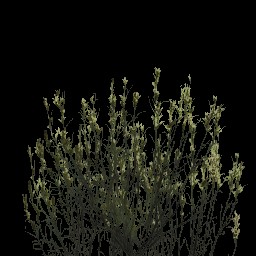 AET005_014_a.jpg