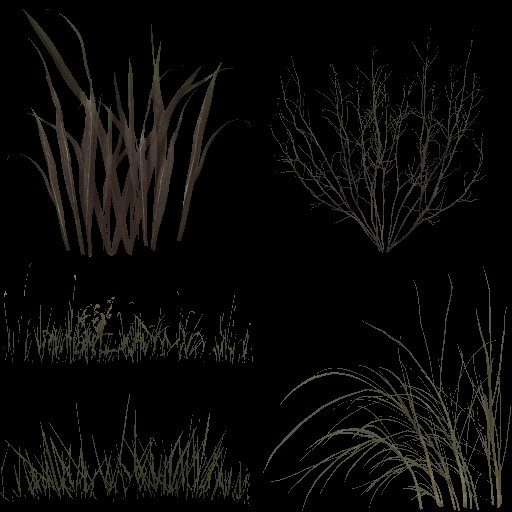 AET005_015_a.jpg