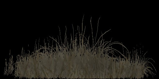 AET005_016_a.jpg
