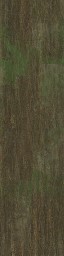 AET005_024_a.jpg