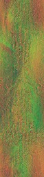 AET005_024_n.jpg