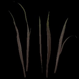 AET005_026_a.jpg