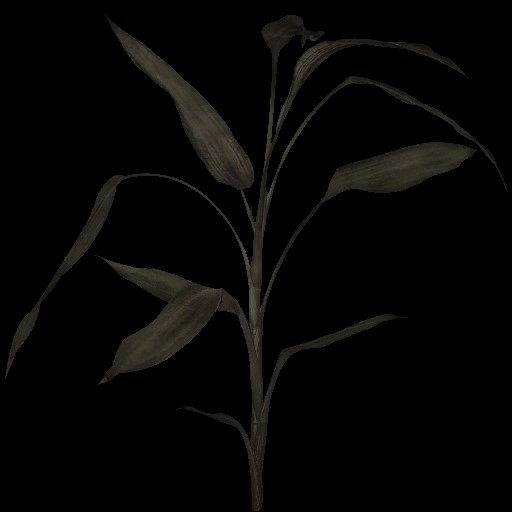 AET005_027_a.jpg