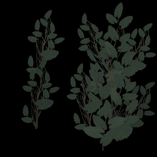 AET005_028_a.jpg