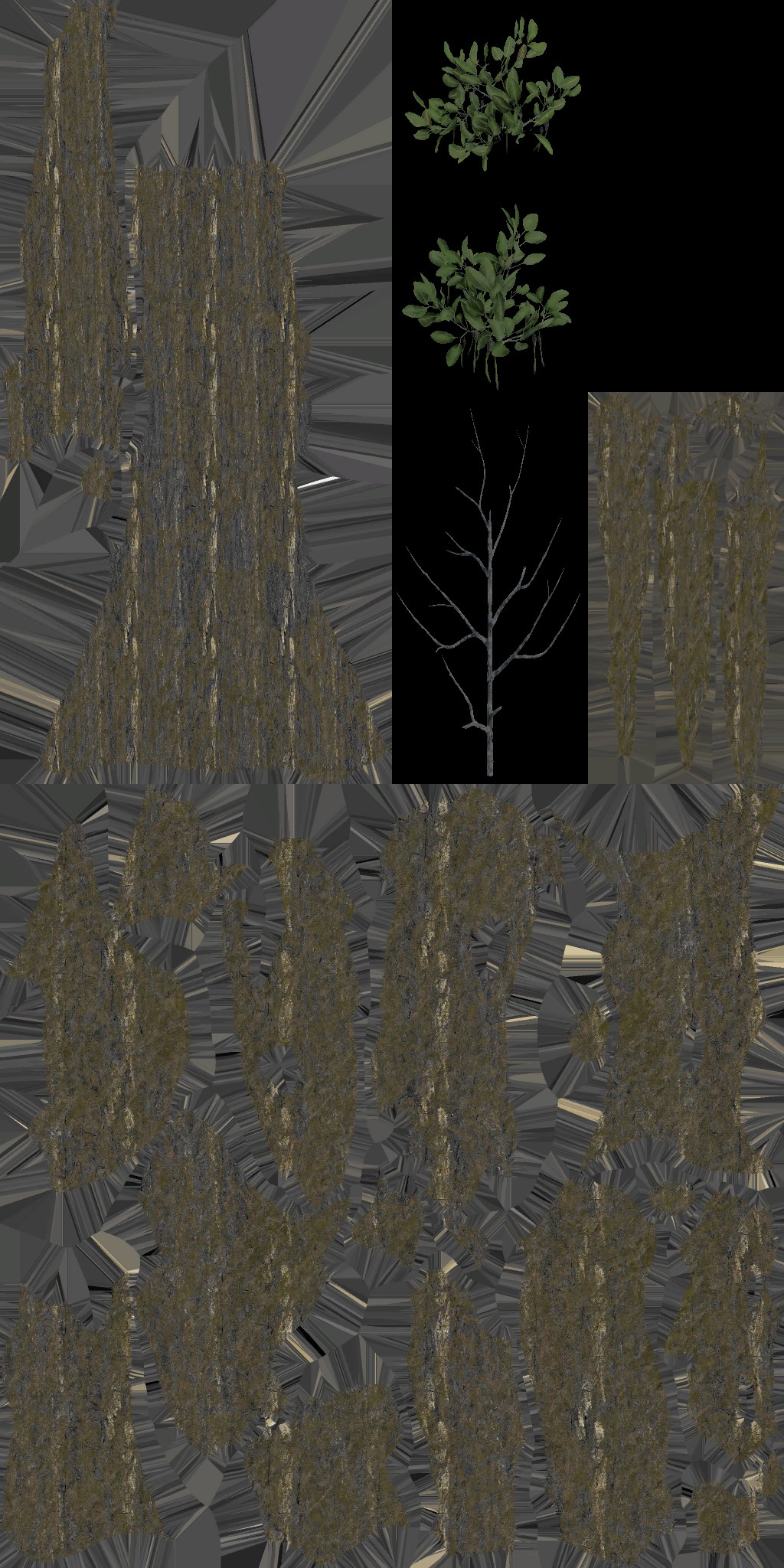 AET005_037_a.jpg
