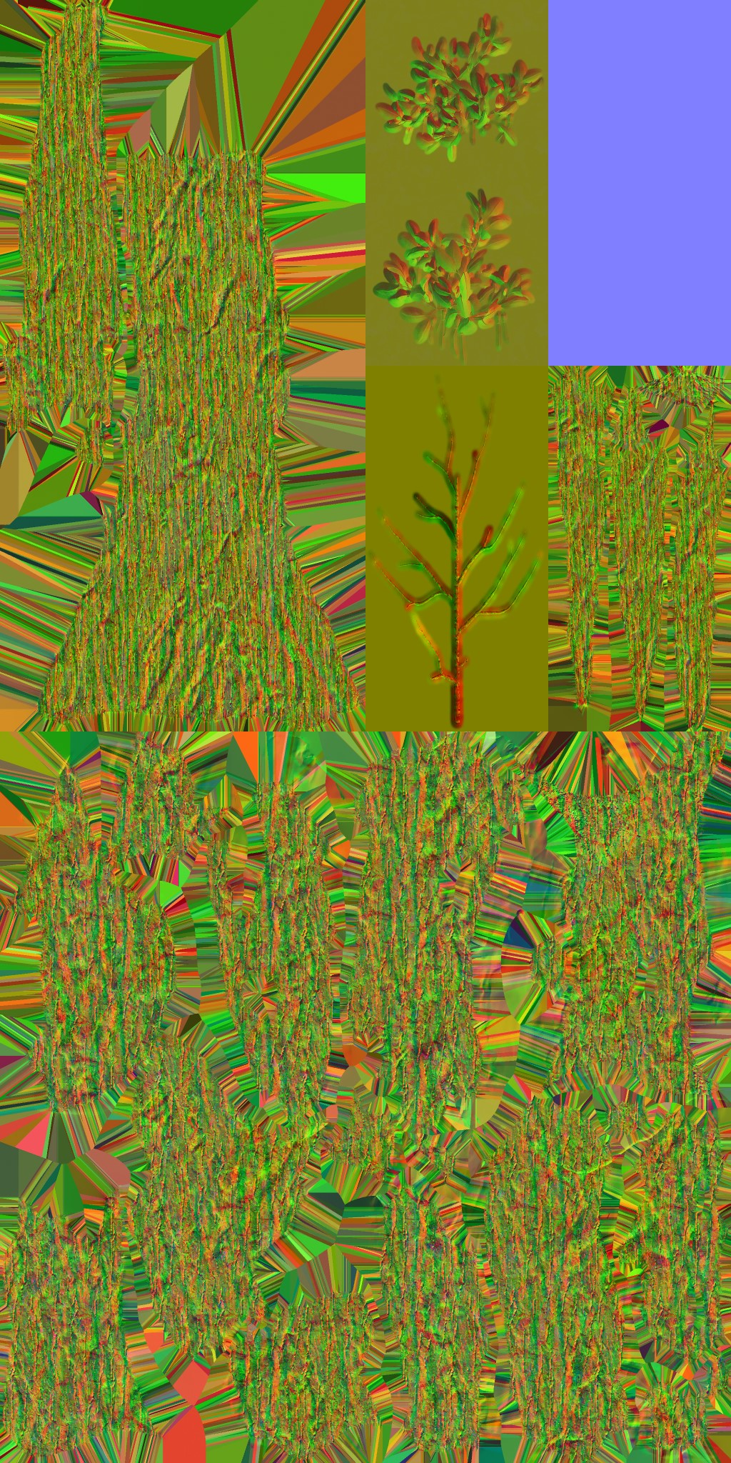 AET005_037_n.jpg